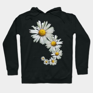 wonderful daisy flowers, blooming daisies, blooms Hoodie